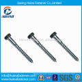 Best Price Stock ASME/ANSI B 18.2.1 Hex Lag Screws/Wood Screws